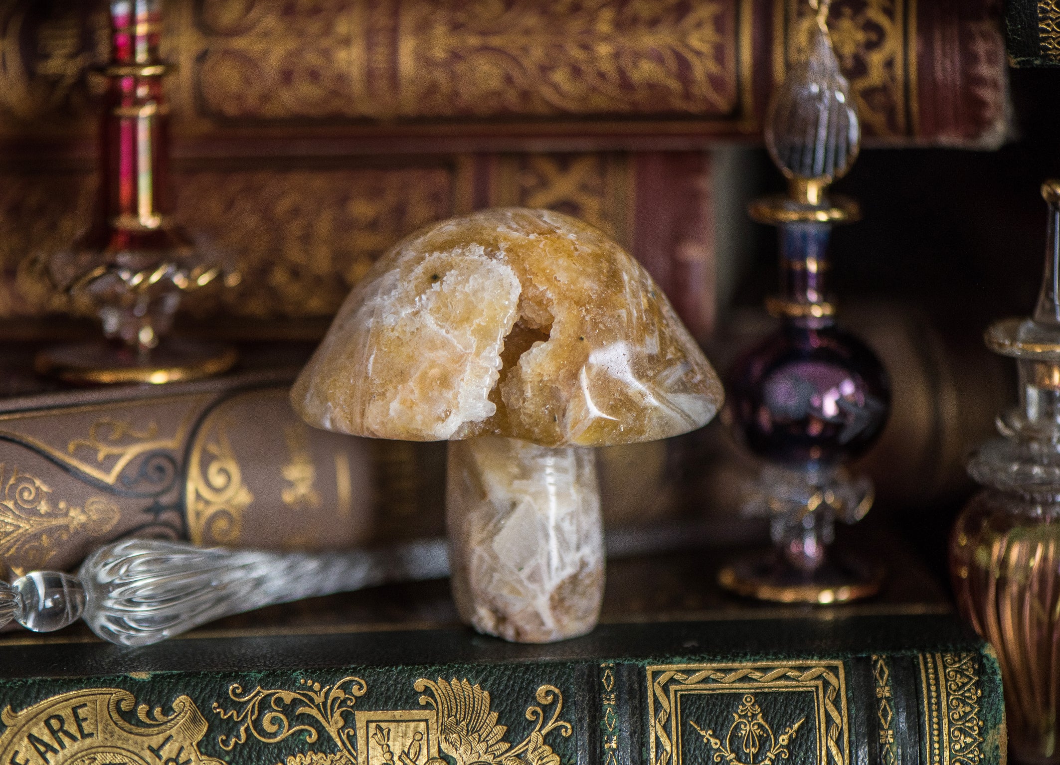 Rosa Amethyst Pilz Kristall
• Feen-Pilz Heilstein
• Magischer Herzchakra Kristall
• Verspielter rosa Kristall
• Emotionaler Heilpilz Stein