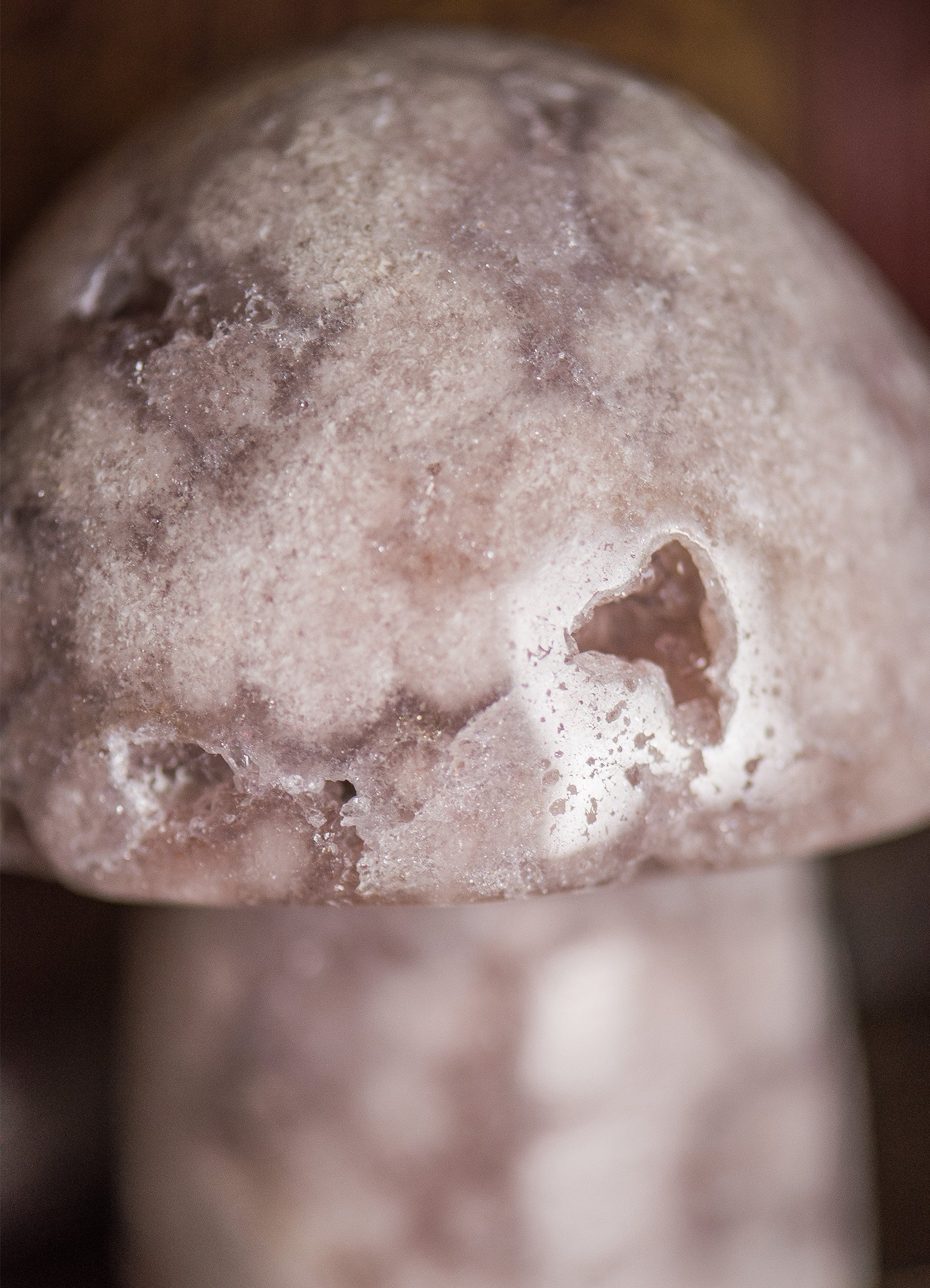 Pink Amethyst ✧ Feenpilz für Herzheilung & Freude