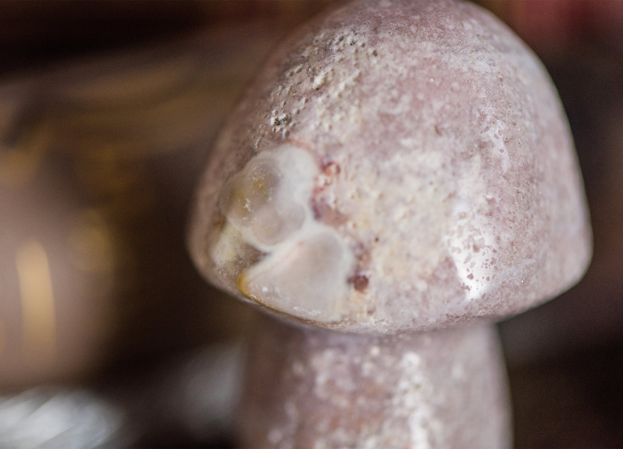 Pink Amethyst ✧ Feenpilz für Herzheilung & Freude