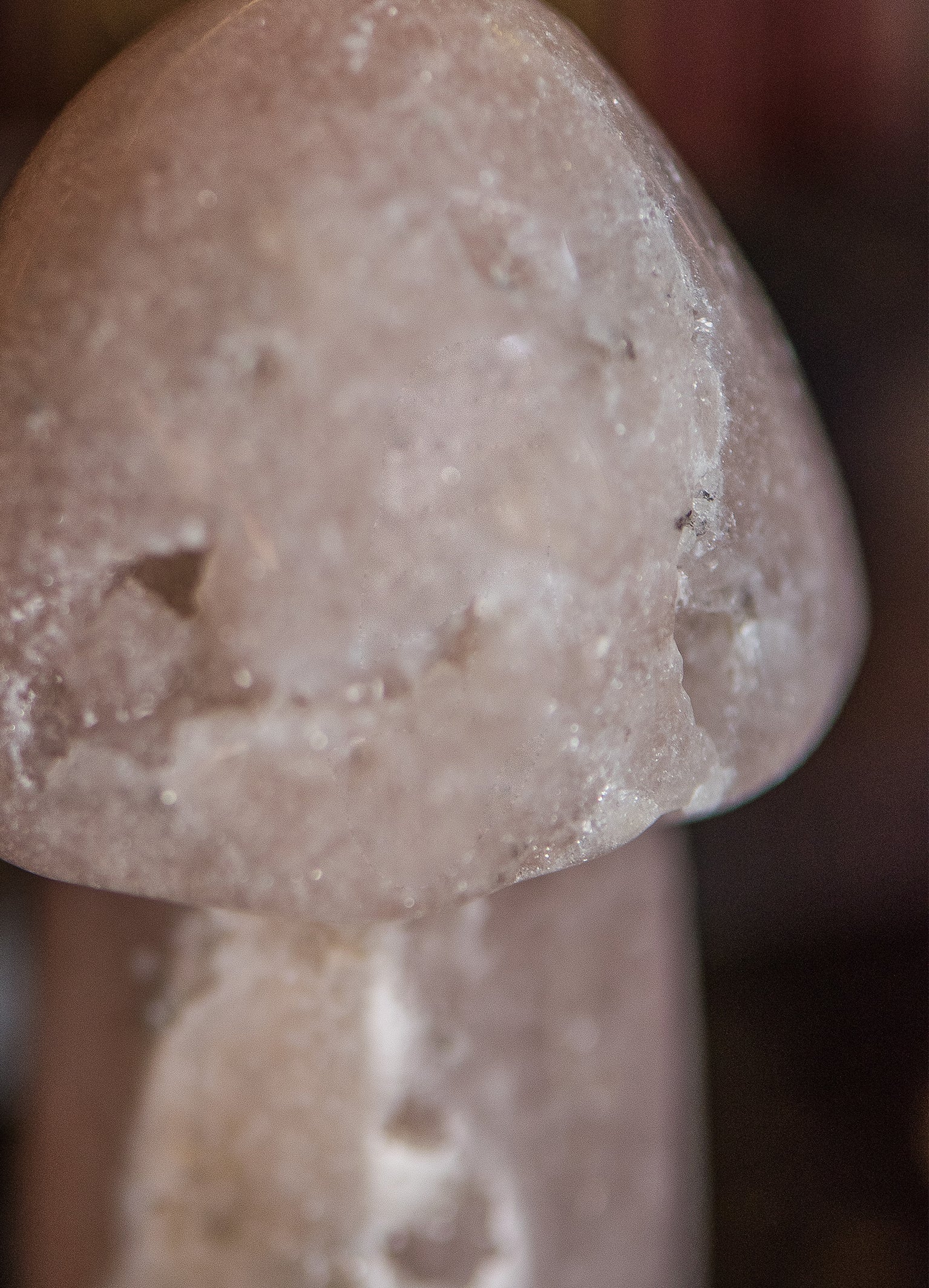 Pink Amethyst ✧ Feenpilz für Herzheilung & Freude