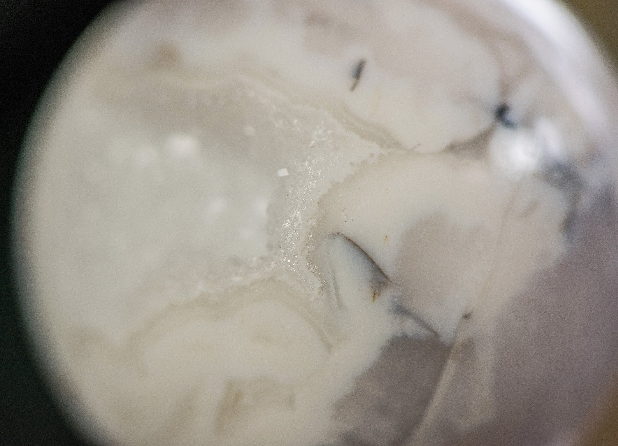 Blumenachat ✧ Kristallkugel ✧ Sanftes Wachstum