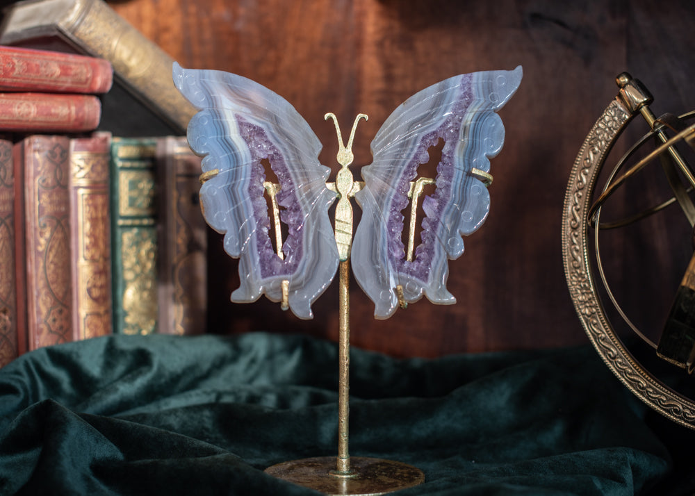 Amethyst Achat Schmetterling Kristall
• Transformationsstein
• Spirituelles Wachstum Schmetterling
• Violette Achat Schnitzerei
• Veränderungs- und Erneuerungskristall