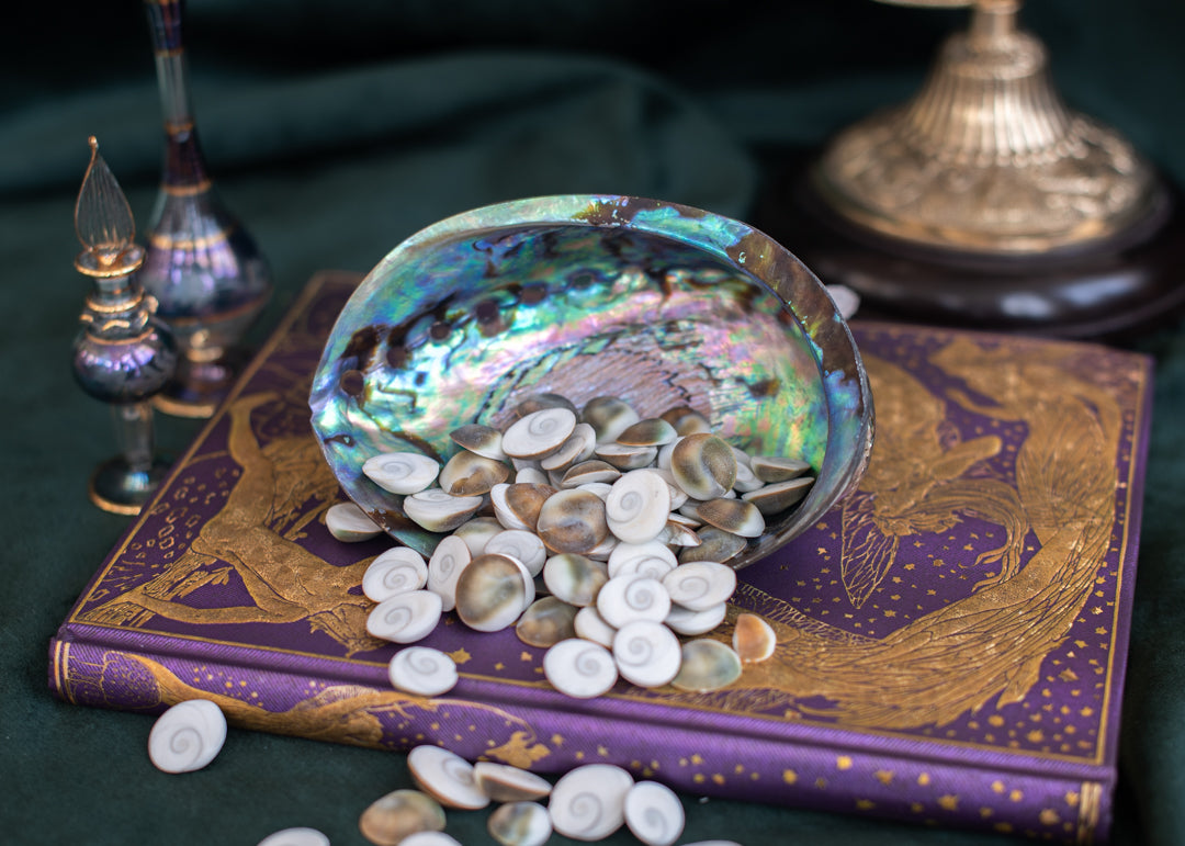 Shiva - Auge
Muschel mini shell
• Ozean weisheit muschel
• Emotionaler fluss muschel
• Weibliche weisheit schale
• Mondzyklen muschel
Aragonit