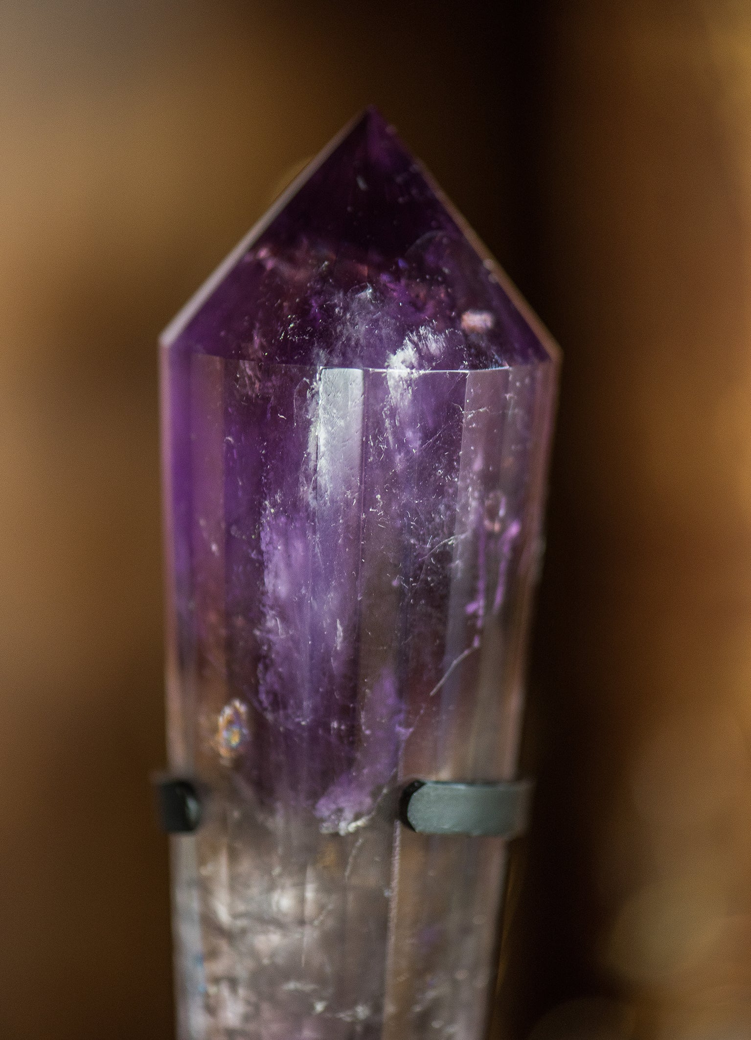 Amethyst Vogelcut