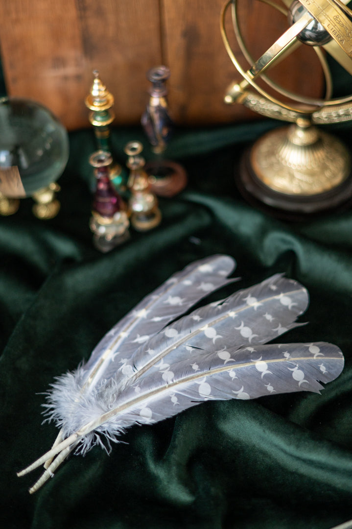 Feder der Fülle ✧ Truthahnfeder mit Halbmondsymbolik