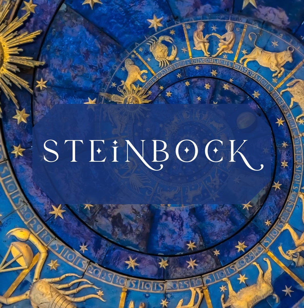 Sternzeichen Steinbock