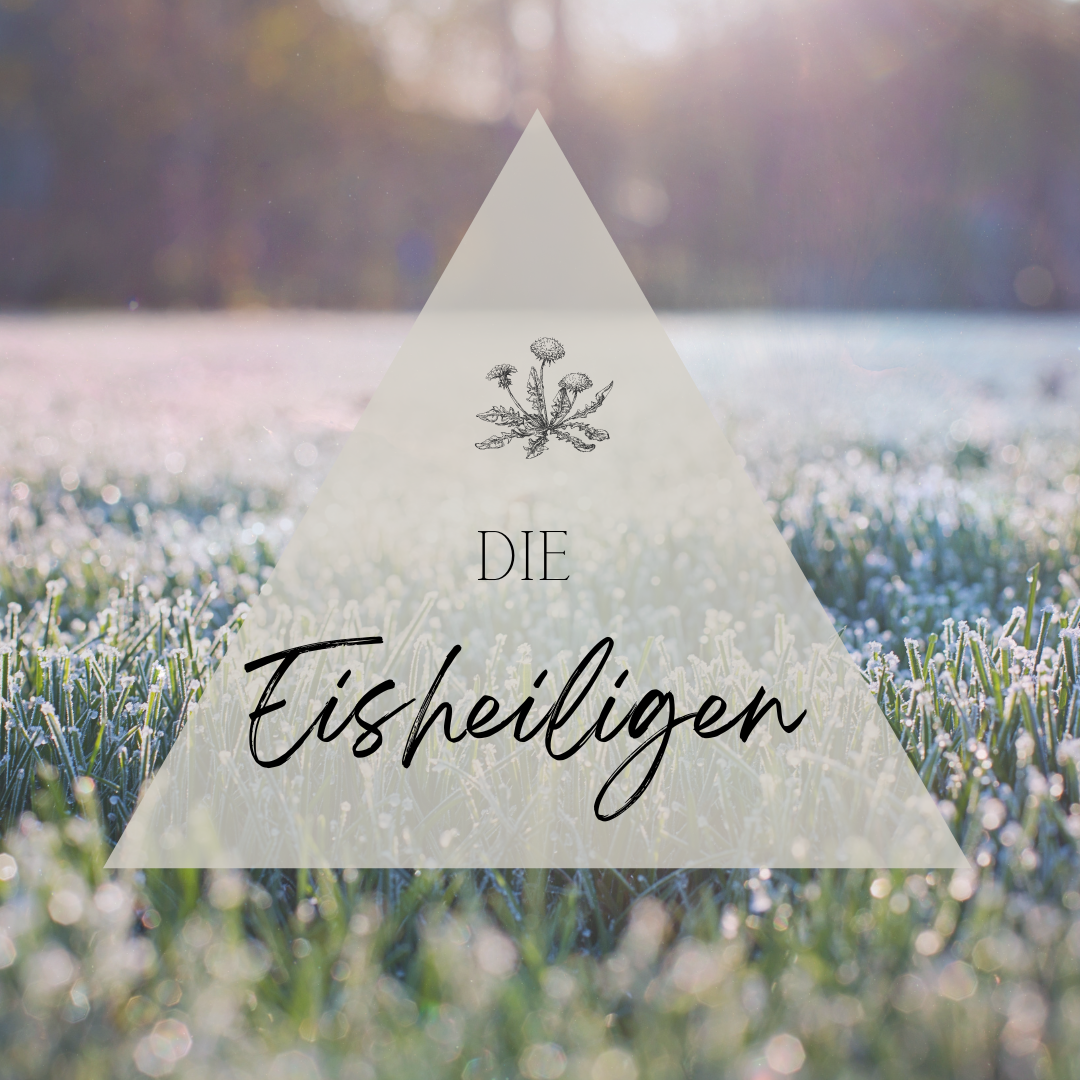 Die Eisheiligen: Eine Zeit der Reinigung und des Wandels