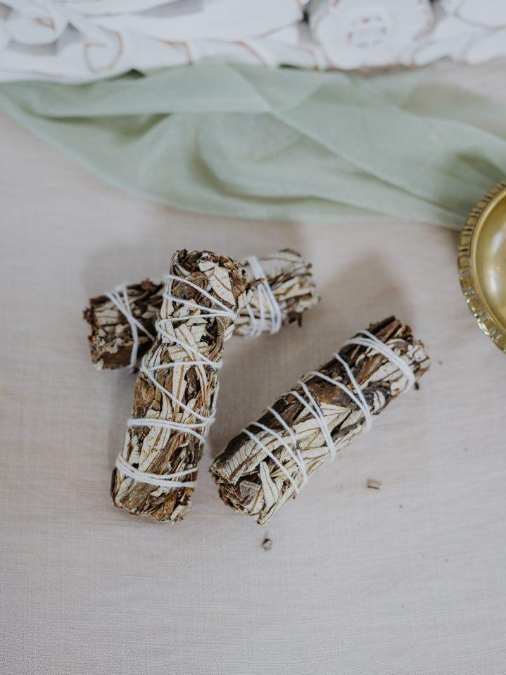 Yerba Santa Räucherbündel ✧ Heiliges Kraut für Herz & Heilung