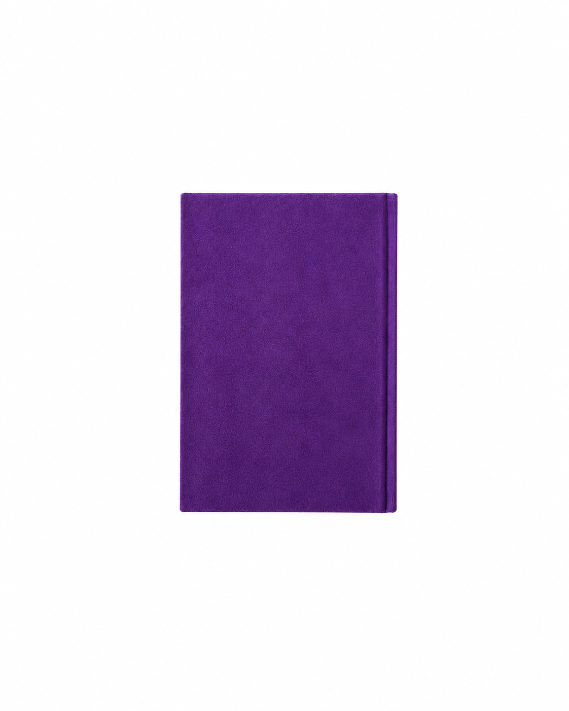 Der Magier Samtjournal