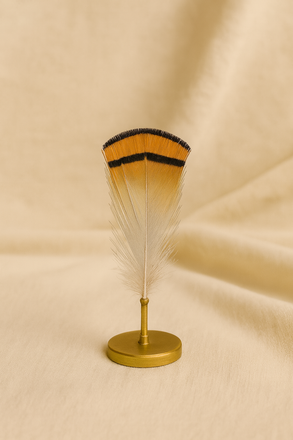 Natürliche goldene Fasanenfeder